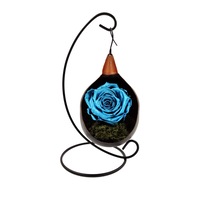Trandafir Natural Criogenat BiaRose Wide, albastru metalizat, pe pat de muschi, in fotoliu suspendat