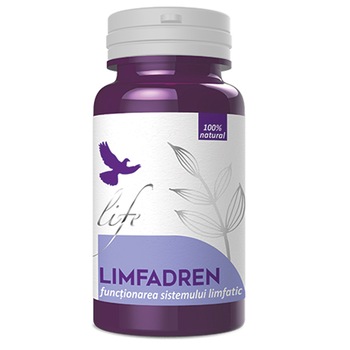 Limfadren 120 capsule DVR Pharm Limfadren 120 capsule DVR Pharm