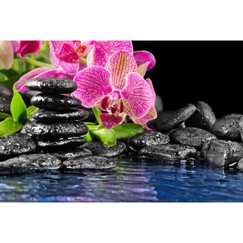 Tablou canvas Orhidee roz cu pietre negre (75 x 50 cm) Tablou canvas Orhidee roz cu pietre negre (75 x 50 cm)