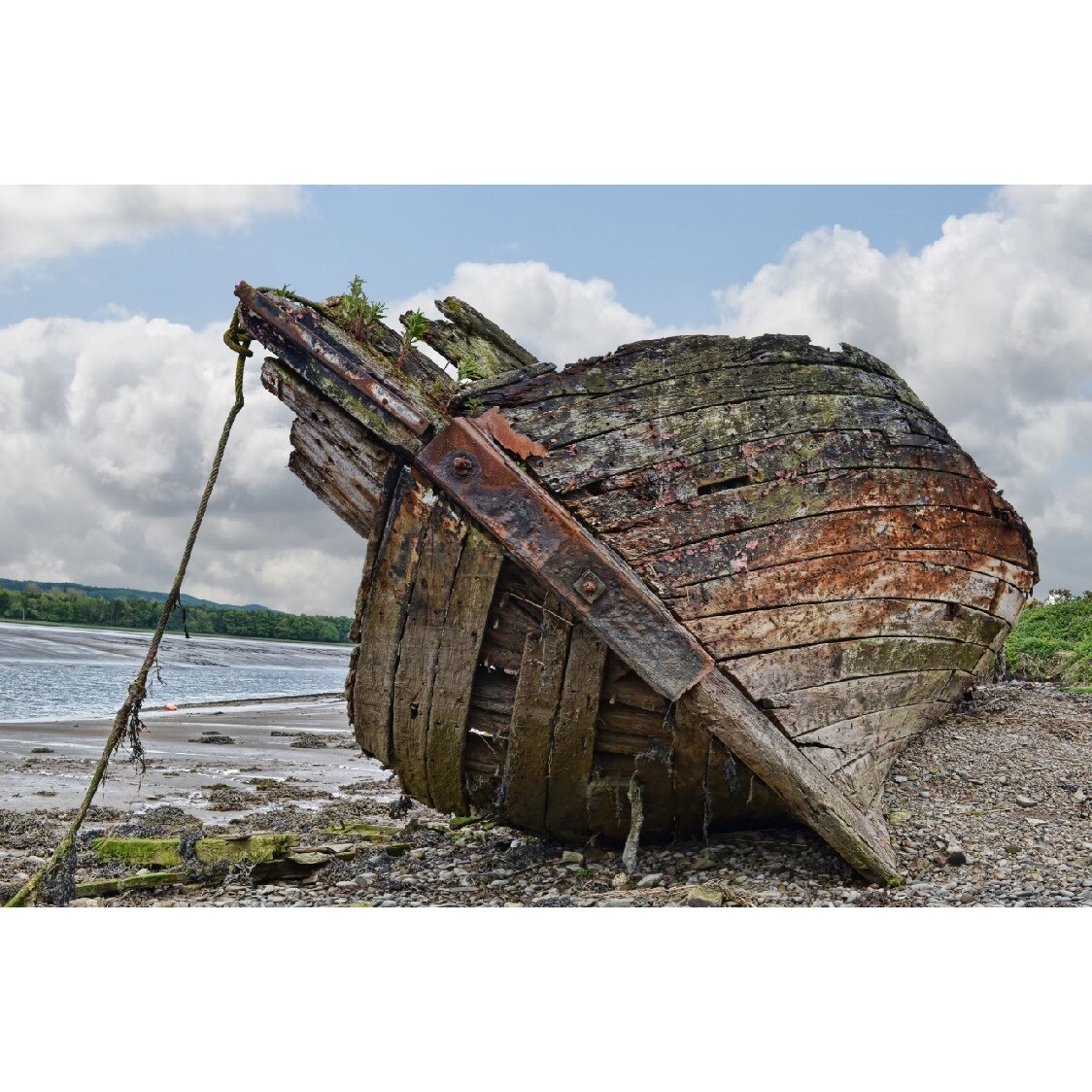 Tablou canvas Barca esuata (75 x 50 cm)