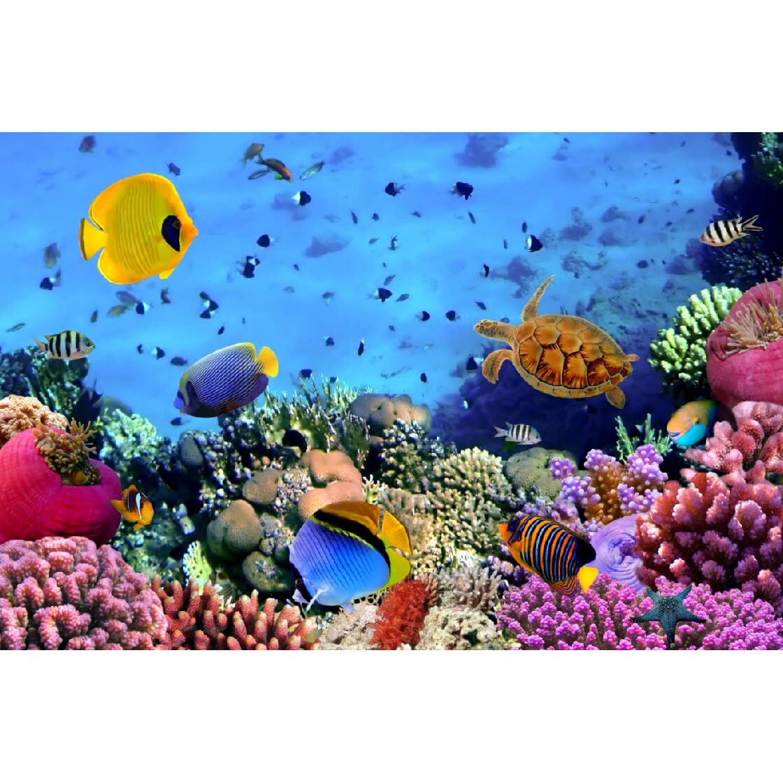 Tablou canvas Fauna oceanului (75 x 50 cm)