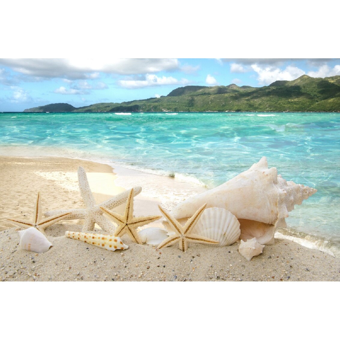 Tablou canvas Stele si cochilii pe plaja (105 x 70 cm)