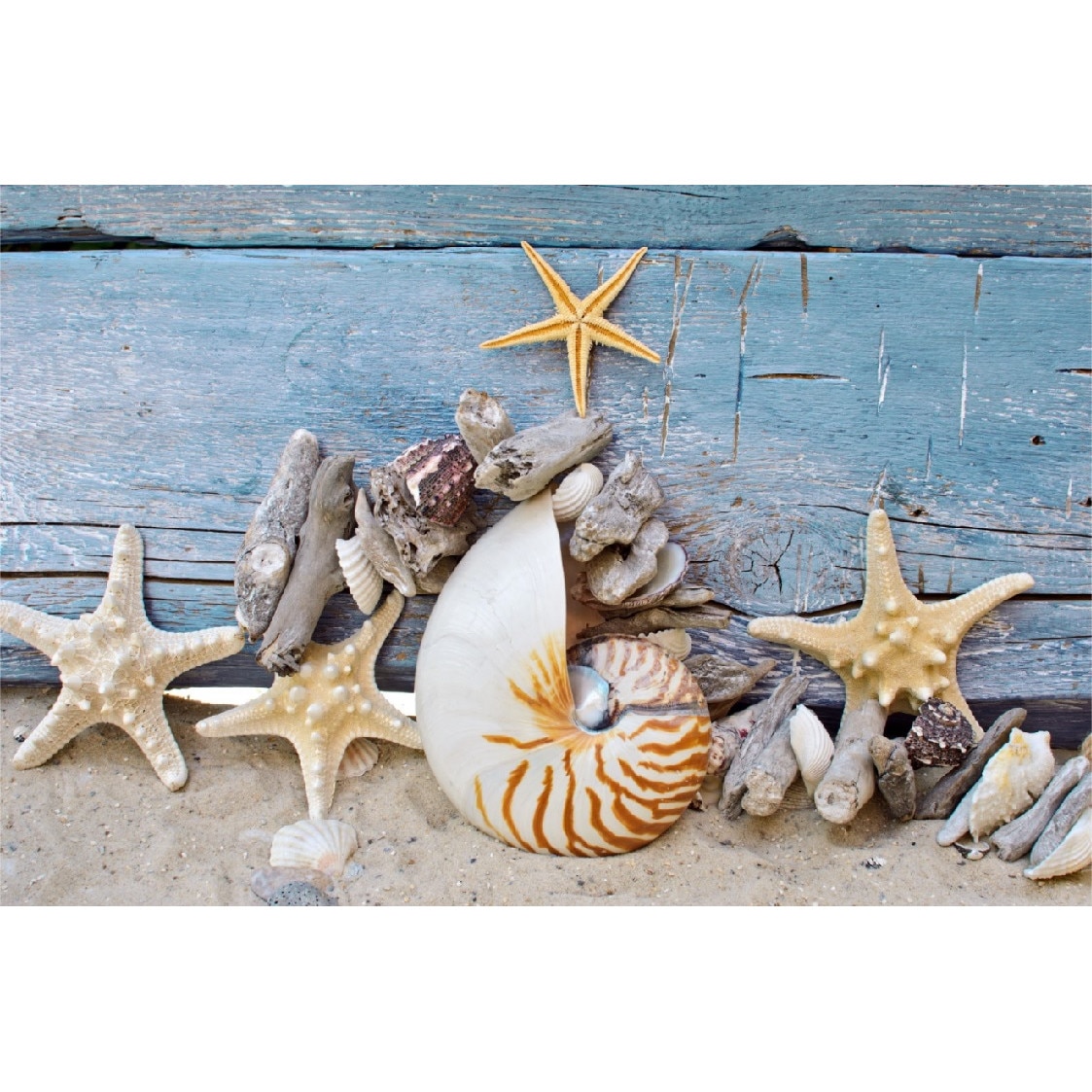 Tablou canvas Plasa cu stele 3 (105 x 70 cm)