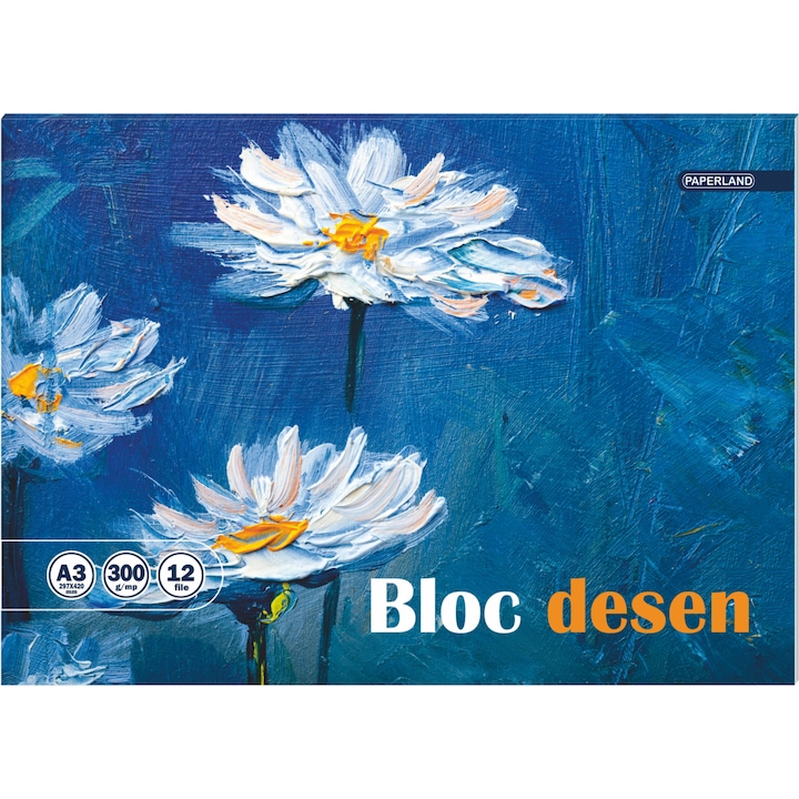 Bloc Desen A3, 300G 12 File