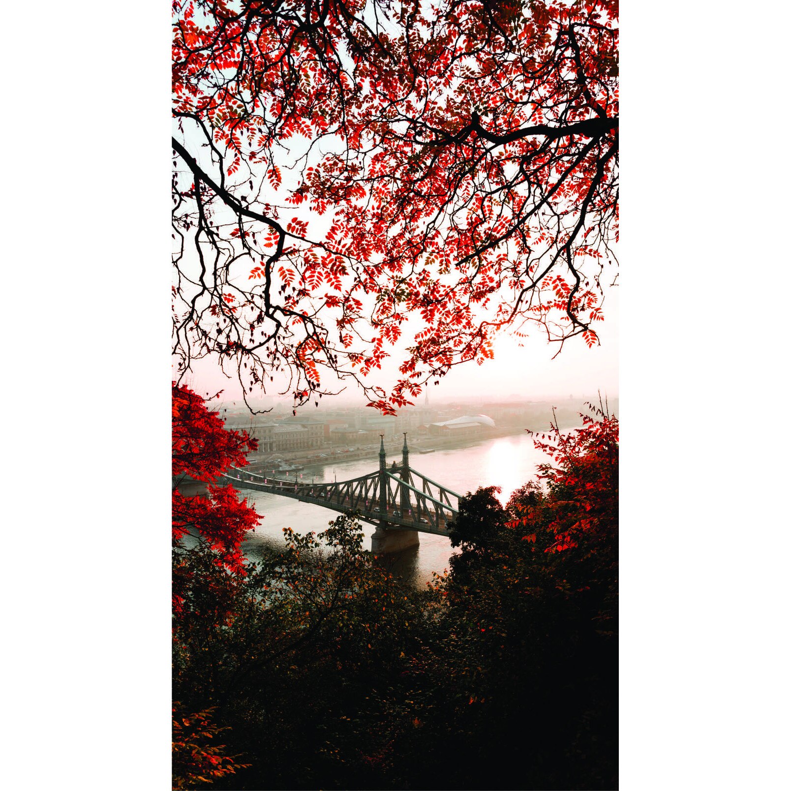 Fototapet Pod, 130x230 cm