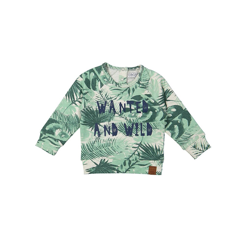 Pulover baieti, Dirkje, cu imprimeu, verde