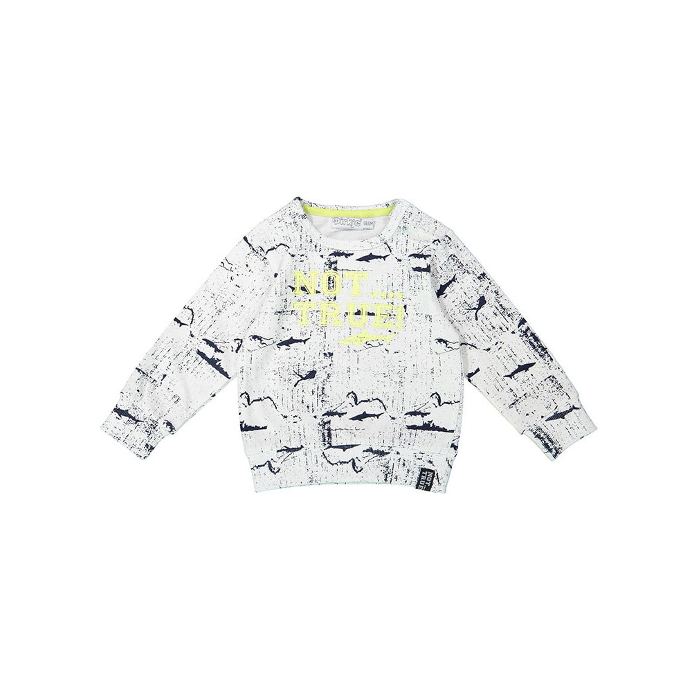 Pulover baieti, Dirkje, cu imprimeu marin, alb&bleumarin