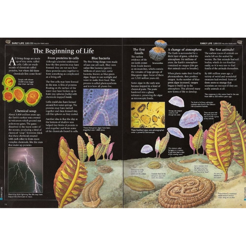 洋書 World History. Carte de citit 