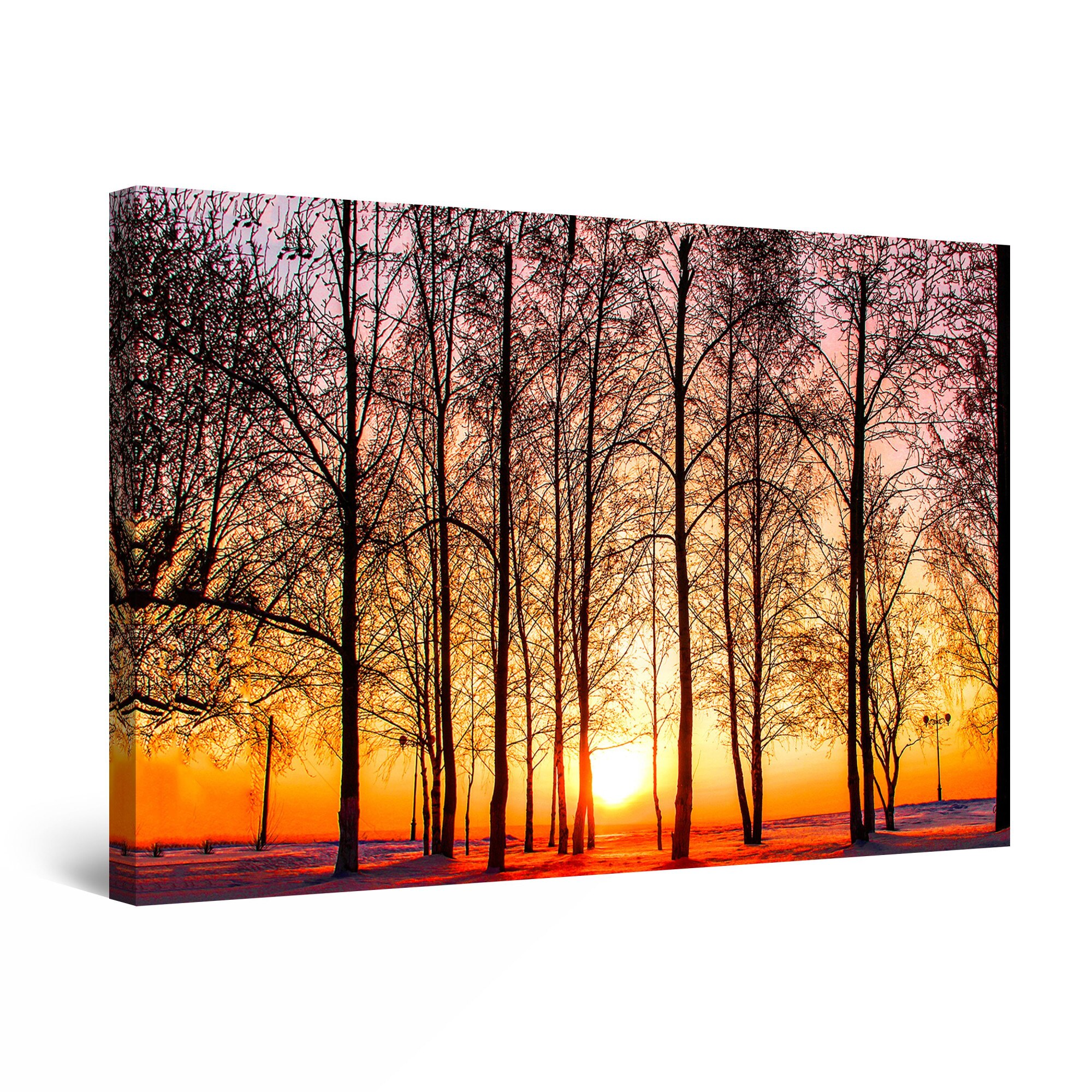 Tablou DualView Startonight Apus printre Plopi, luminos in intuneric, 30 cm x 20 cm