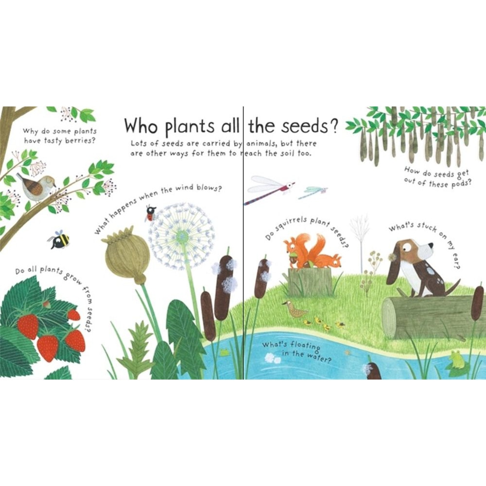 Usborne Könyv, "How do flowers grow?", 4 év felett eMAG.hu