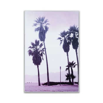 Imagine de perete, 40x60 cm, Palm Trees, Les Cocotiers - Butopea Imagine de perete, 40x60 cm, Palm Trees, Les Cocotiers - Butopea