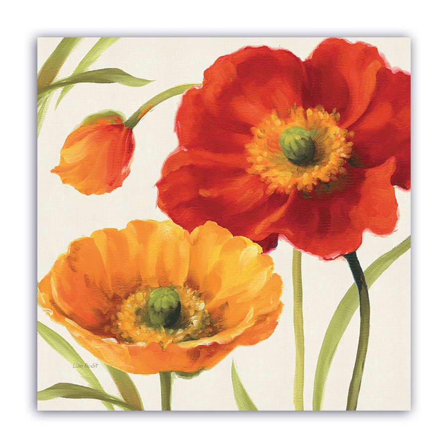 Tablou Canvas - Floral, Papadie, 80 x 80 cm