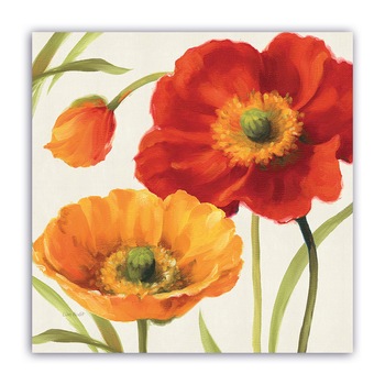 Tablou Canvas - Floral, Papadie, 80 x 80 cm Tablou Canvas - Floral, Papadie, 80 x 80 cm