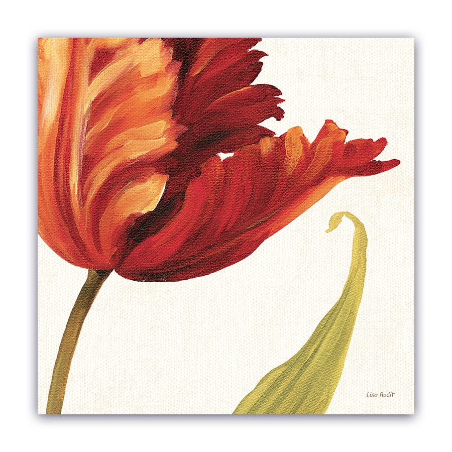 Tablou Canvas - Flori, Lalea, 80 x 80 cm