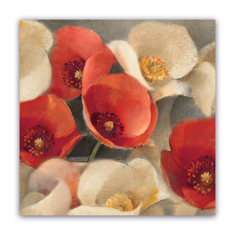 Tablou Canvas -Floral, Vintage, Papadie, 80 x 80 cm