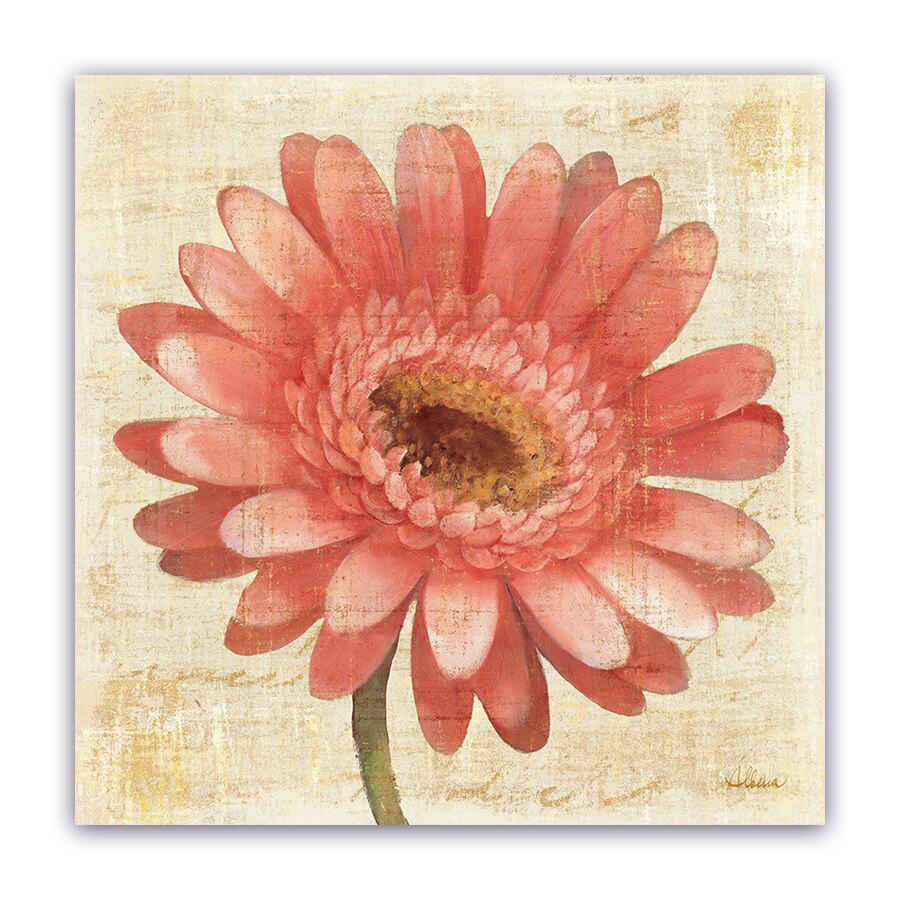 Tablou Canvas - Floral, Gerbera, Roz, 100 x 100 cm