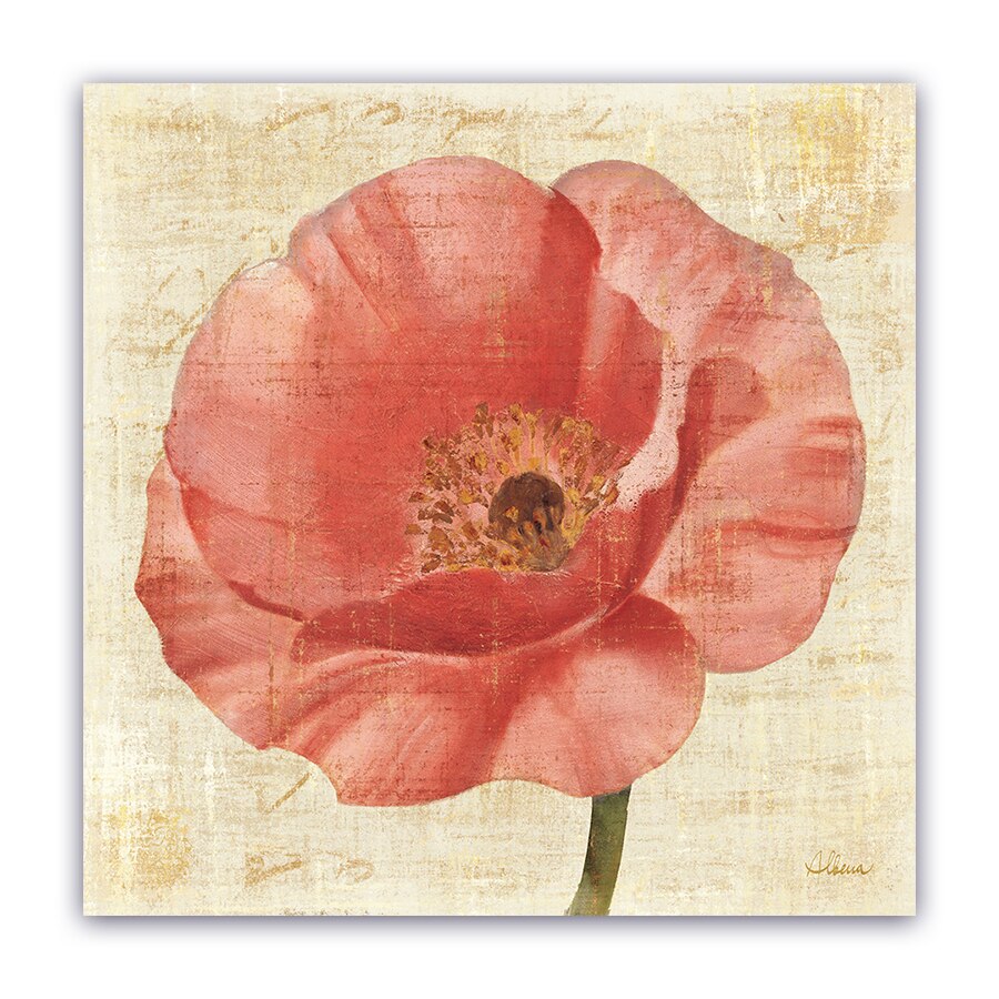 Tablou Canvas - Floral, Lalea, Roz, 100 x 100 cm