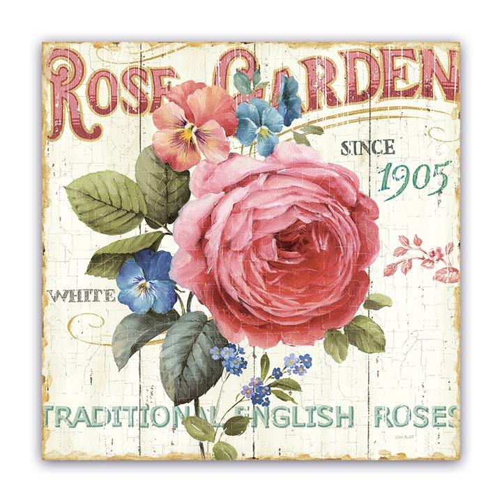 Tablou Canvas - Floral, Trandafi, Roz, 60 x 60 cm