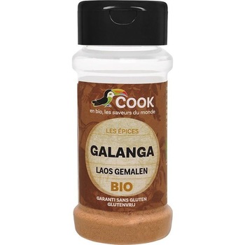 Condiment Galangal Pudra Bio 25gr Cook Condiment Galangal Pudra Bio 25gr Cook