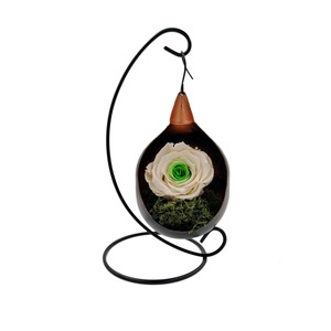 Cauți Hol Pt Aranjamente Interior De Florale Alege Din Oferta Emag Ro