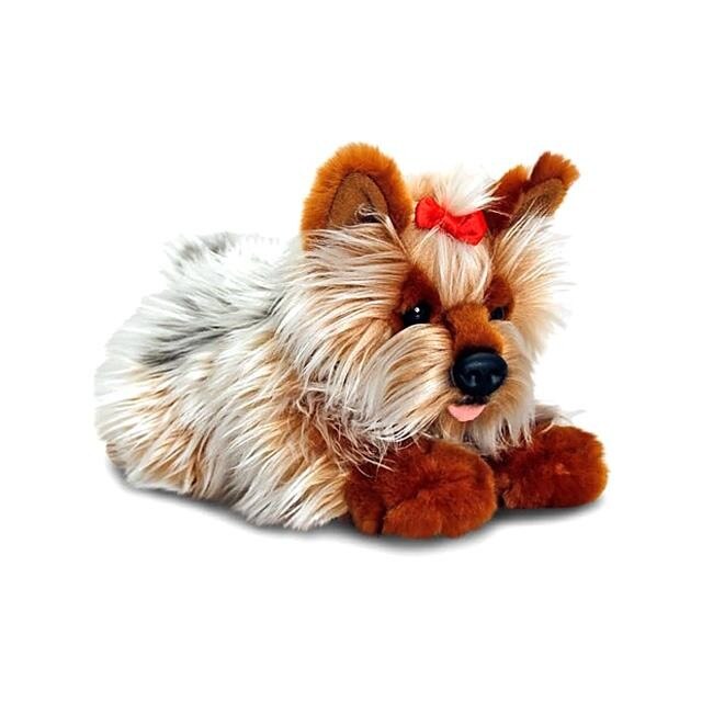 yorky toy