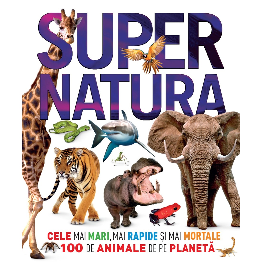 Supernatura - Derek Harvey