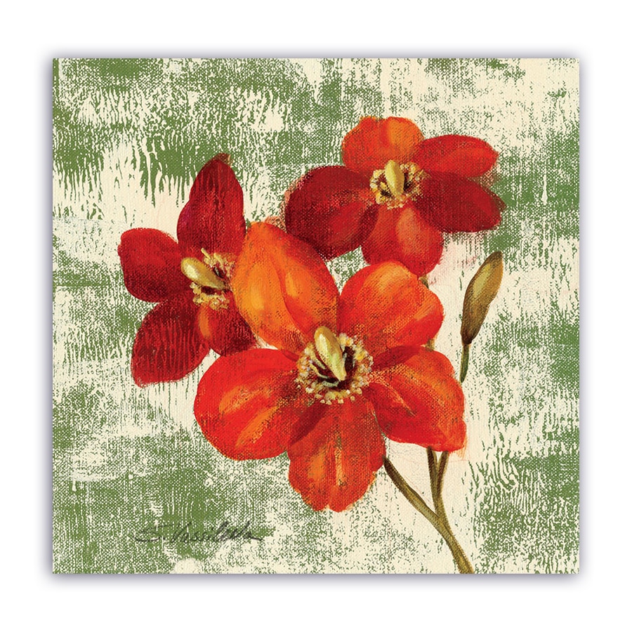 Tablou Canvas - Floral, Vintage, Rosu, Narcis, 80 x 80 cm