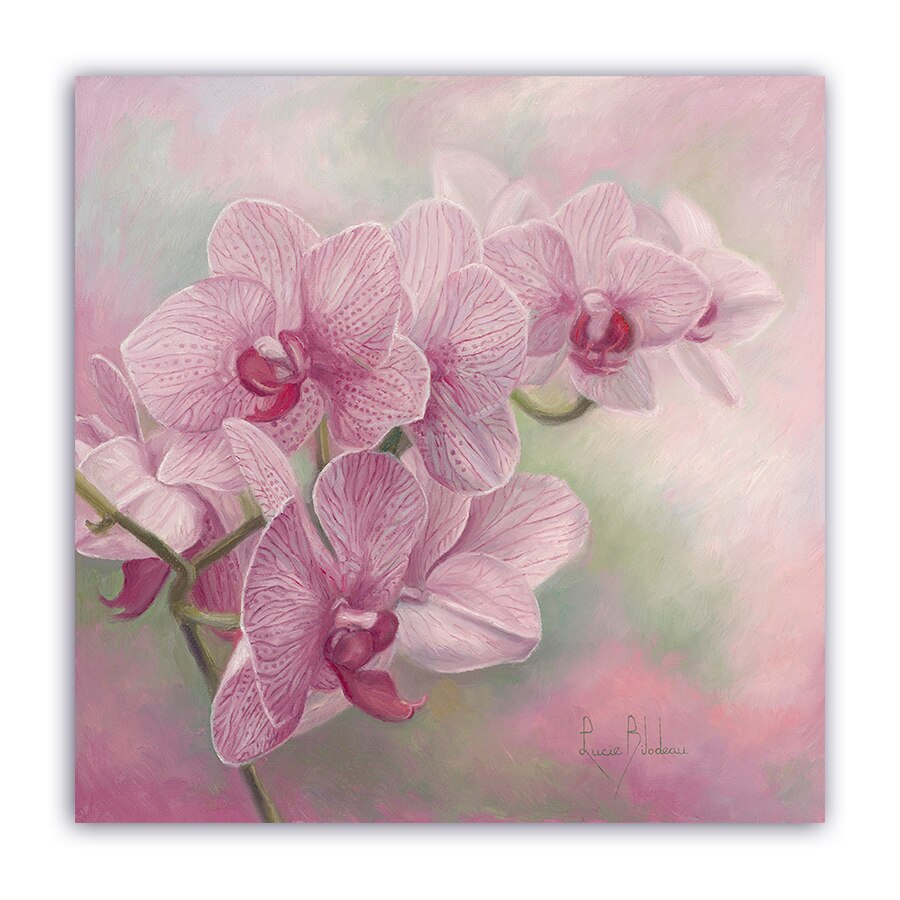 Tablou Canvas - Vintage, Orhidee, Floral, Roz, 80 x 80 cm