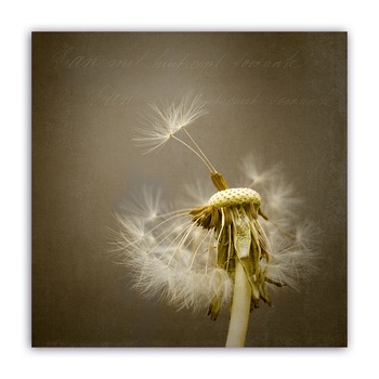 Tablou Canvas - Vintage, Floral, Papadie, 100 x 100 cm Tablou Canvas - Vintage, Floral, Papadie, 100 x 100 cm