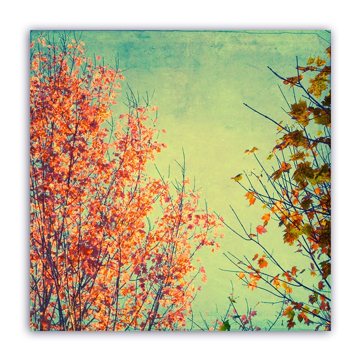 Tablou Canvas - Copac, Frunze, Portocaliu, 60 x 60 cm