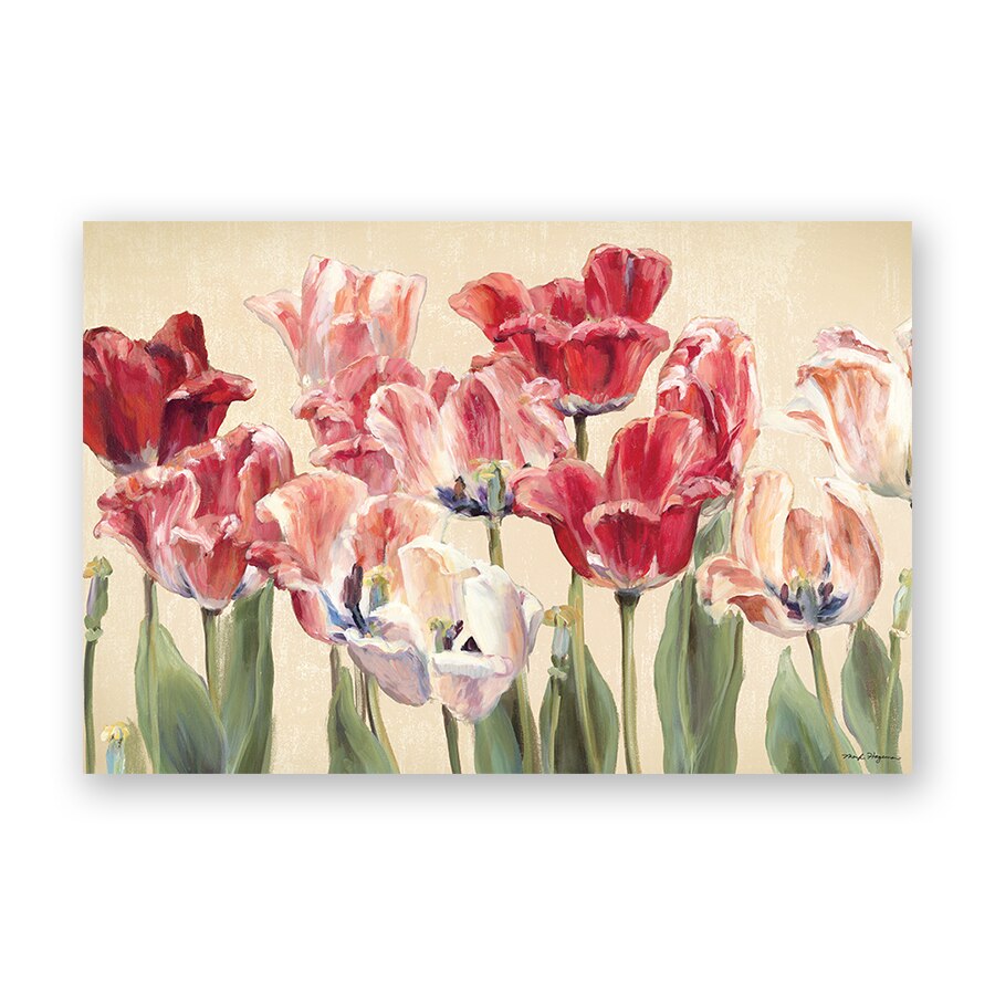 Tablou Canvas - Floare, Lalele, 75 x 100 cm