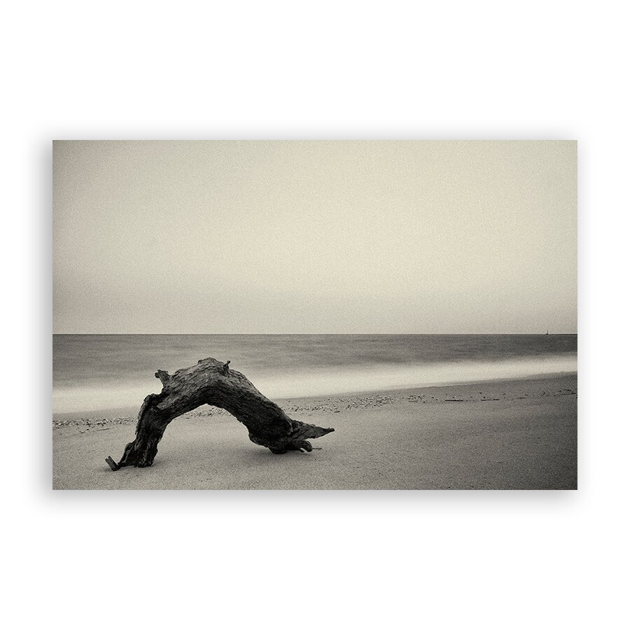 Tablou Canvas - Ocean, Mal, Creanga, 60 x 80 cm