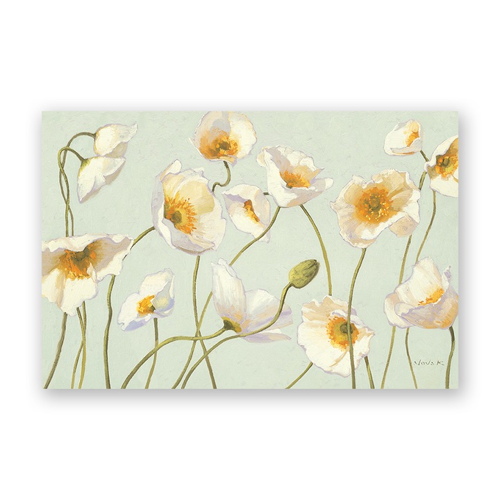 Tablou Canvas - Lalele, Inflorit, Alb 60 x 90 cm