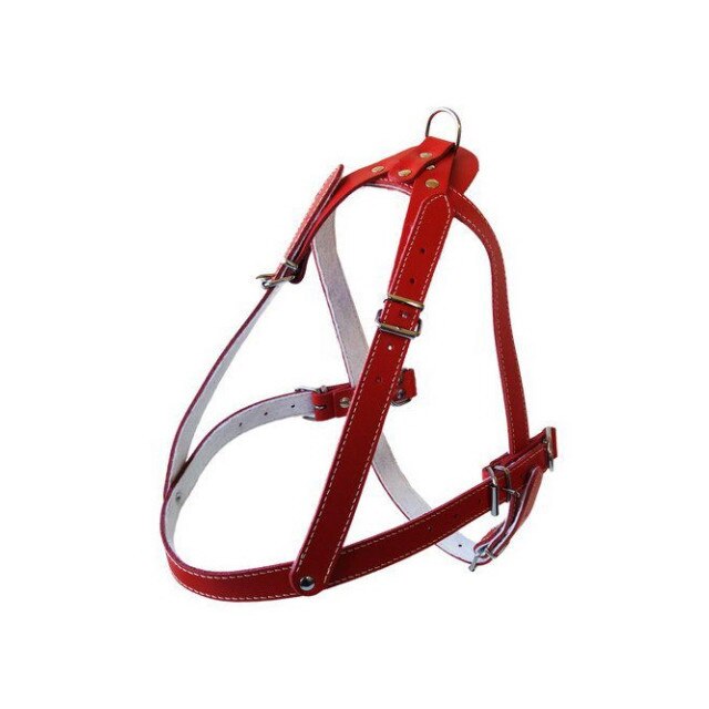 Ham Exo L5 piele 79-92 cm/25 mm pentru caini