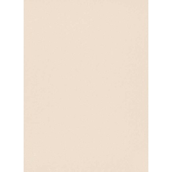 Tapet modern Palais Royal 6381-14 0.53m X 10m Gri/Bej Tapet modern Palais Royal 6381-14 0.53m X 10m Gri/Bej