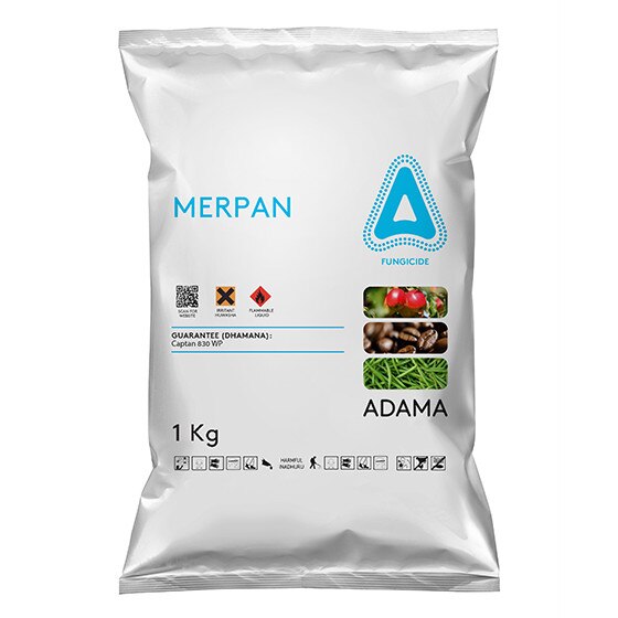 Fungicid - Merpan 80 WDG, 1 kg