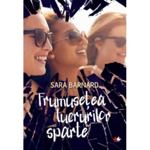 Frumusetea lucrurilor sparte, Sara Barnard