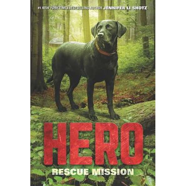 Hero: Rescue Mission de Jennifer Li Shotz