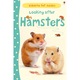 Gyerekkönyv, Usborne, Hörcsögök gondozása, 7 év felett