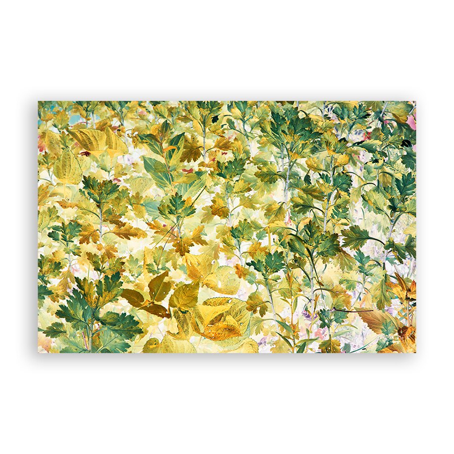 Tablou Canvas - Frunze, Multicolor, 60 x 90 cm