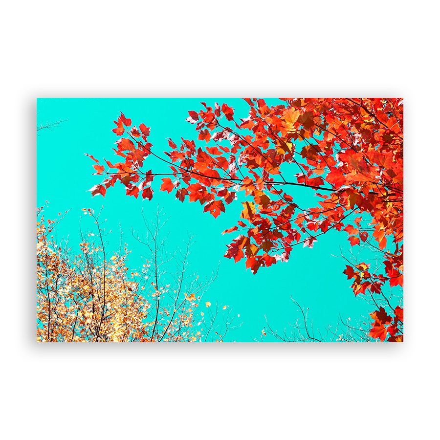 Tablou Canvas - Copac, Frunze, Floral, Rosu, 80 x 120 cm