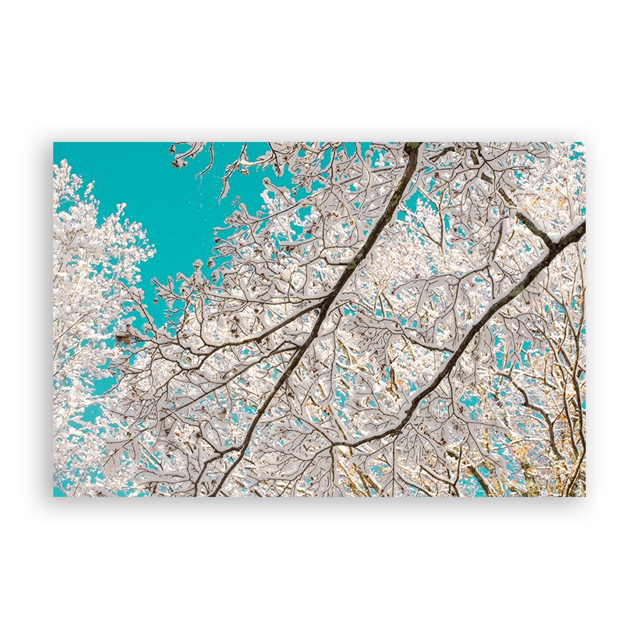 Tablou Canvas - Copac, Frunze, Floral, Alb, 60 x 90 cm