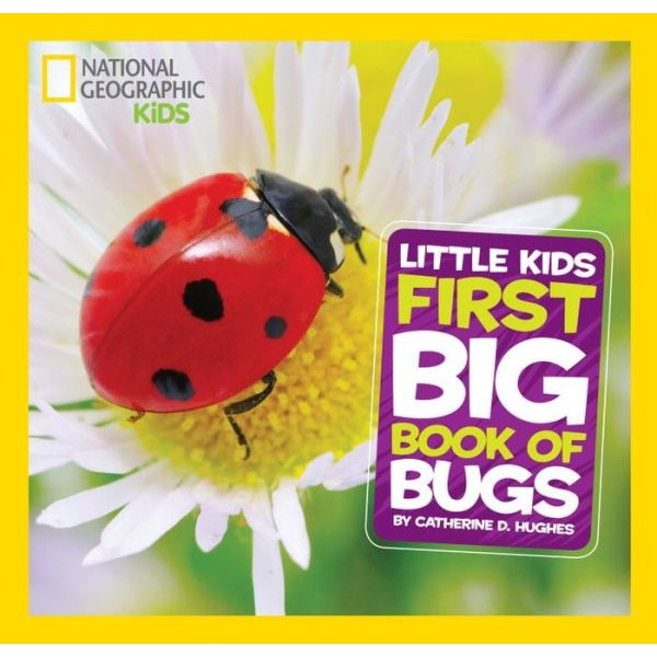 Little Kids First Big Book of Bugs de Catherine D. Hughes