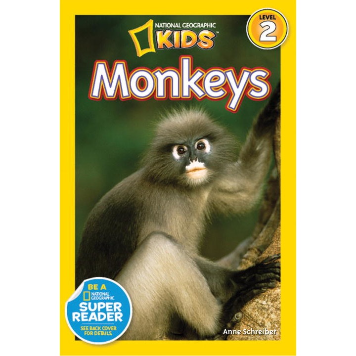 Monkeys de Anne Schreiber