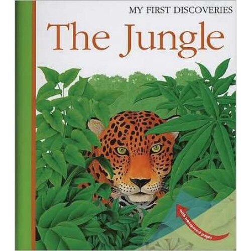The Jungle de René Mettler