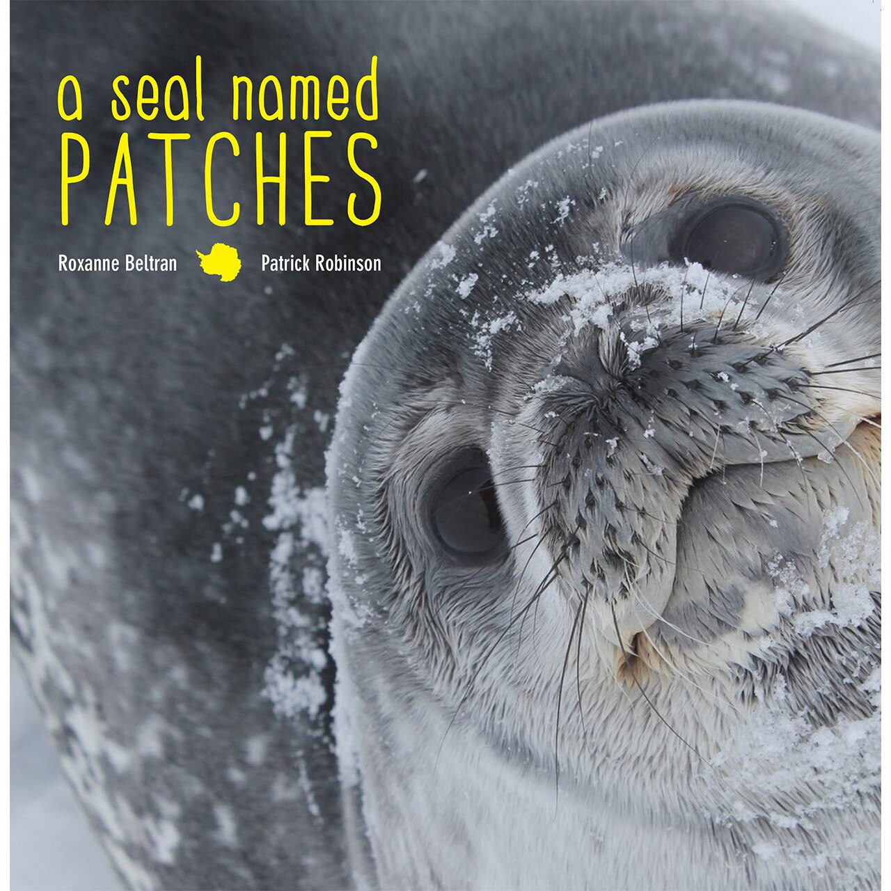 A Seal Named Patches de Roxanne Beltran
