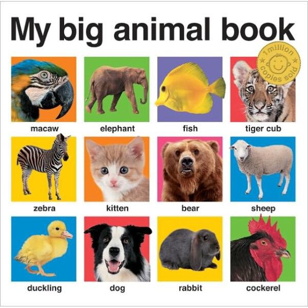 My Big Animal Book de Priddy Books