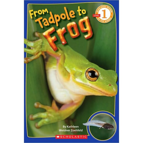 From Tadpole to Frog de Kathleen Weidner Zoehfeld