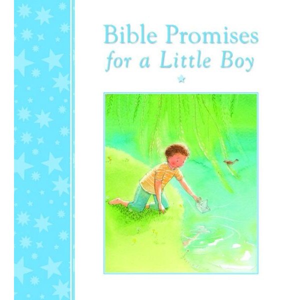 Bible Promises for a Little Boy de Mary Joslin
