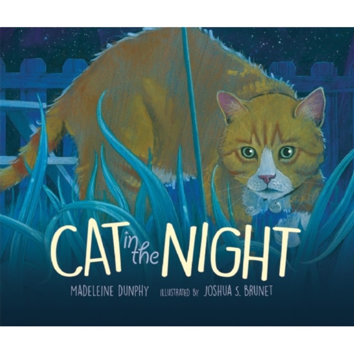 Cat in the Night de Madeleine Dunphy